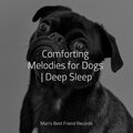 Comforting Melodies for Dogs | Deep Sleep