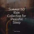 50 Calm & Steady Rain Sounds