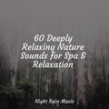 60 Deeply Relaxing Nature Sounds for Spa & Relaxation