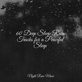 60 Deep Sleep Rain Tracks for a Peaceful Sleep