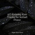 60 Relaxing Rain Tracks for Instant Peace