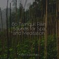 60 Tranquil Rain Sounds for Spa and Meditation