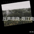 陈江南 - 另类压声串烧