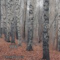 ЧИВ - Весёлая