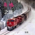 张彬 - 奔腾之路