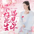 不枉此生遇见你 (DJmusic小李版)