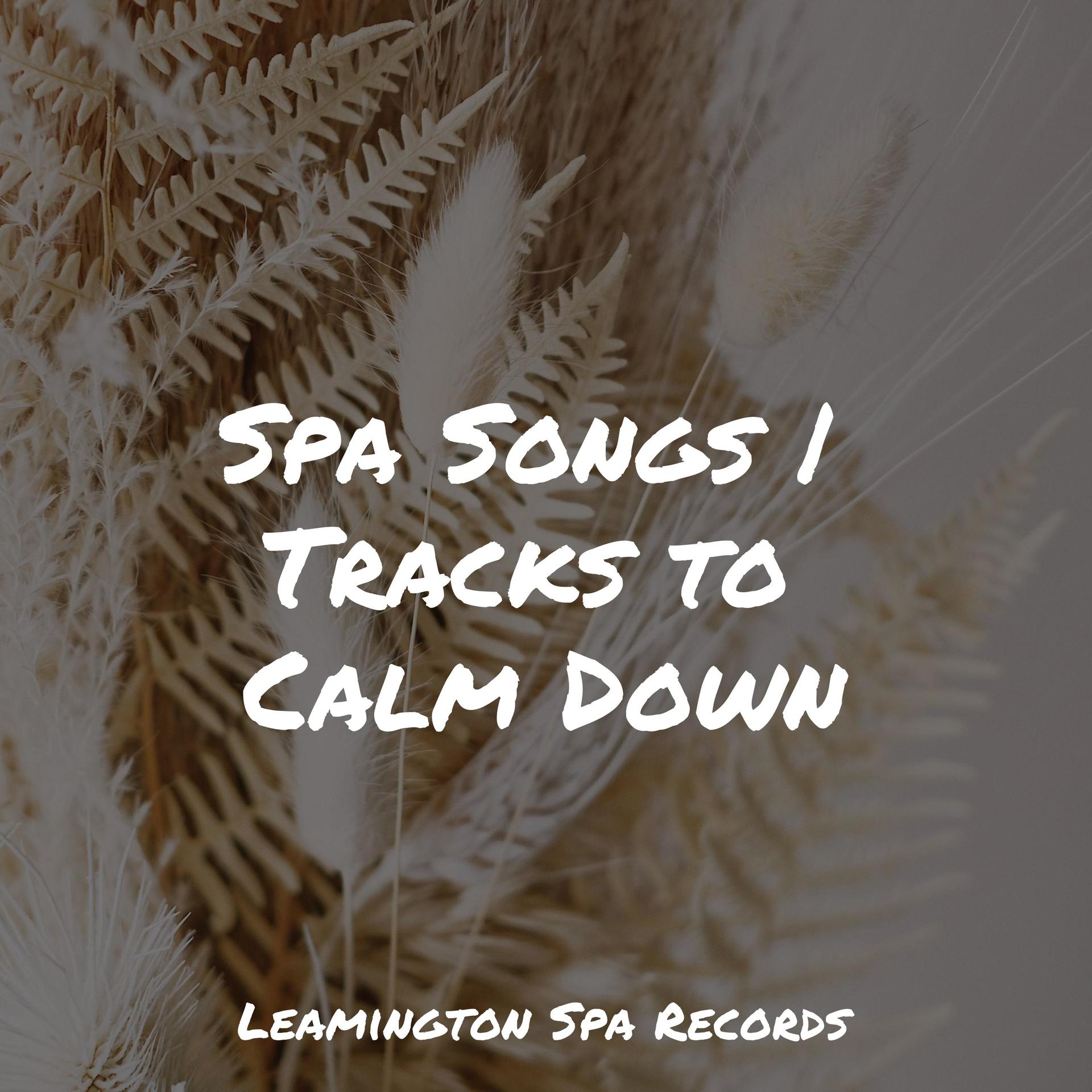 Best Relaxing Spa Music、Meditation Relaxation Club、Rain Sounds、Academia de Relaxamento e Meditação、Nature Sounds - Calm and Serene
