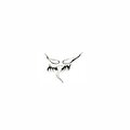 SRT (Explicit)