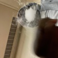 THR33 - Insane (Explicit)