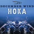 December Wind - Settled In