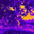 degree、sam engers. - Hot Summer (feat. sam engers.)