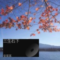 安笑笑 - 三生石下