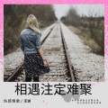 柯磊、无谢悦乐 - 相遇注定难聚