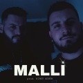 MALLI (feat. BORO & ALVI)