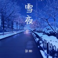 张彬 - 雪夜