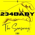 234 - The Seasoning (Explicit)