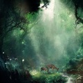 贝小贝a - 灵秀