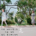 曾子姗、唱作人杨帆 - 小小合欢花