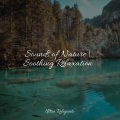 Sounds of Nature | Soothing Relaxation