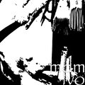 MDM - Ivo