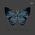Buttafly