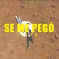 SE ME PEGÓ - LYTO