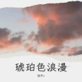 宇崽落梅 - 琥珀色浪漫