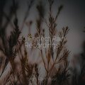 60 Perfect Rain Recordings
