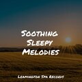 Soothing Sleepy Melodies