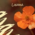 louce - Deal Whomever