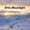 Artic Moonlight