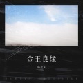 邱小宝 - 金玉良缘 (remix: 付雪)(Remix)