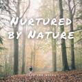 Smooth Chill Playlist、Spa Music Station、Relaxation Playlist - Green of Tenderness