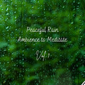Relaxation Music Therapy、Rain Sound Experience、Relax My Dog Music - Peaceful Rain Ambience to Meditate Vol. 1 - 2 Hours