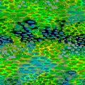 Sonobuoy