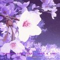 BU$HES、Drey、Ian - Runaway Love (Explicit)