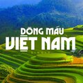 Hợp Ca - Dòng Máu Việt Nam