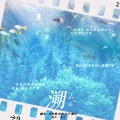 佳J、糖诗Akoasm.、mo珍鼠丢了on、文子 - 溯 (Reverse)