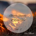 Binaural Beats Deep Sleep、Cat Music Therapy、Coffee House Classics - Fire Music: Gentle Sounds of Wild Fire Vol. 2 - 3 Hours