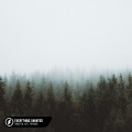 Lost.、Pop Mage、Billie O'Connell、Finneas、Honeyfox - Everything I Wanted (Acoustic)