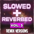 Slowed Remix DJ - Mean