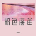 郑冰冰 - 粉色海洋