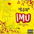 IMU (Explicit)