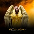 Roogie Zilliot、t-Ace - Fallin' (feat. T-Ace)