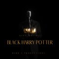 King David - Black Harry Potter (Explicit)
