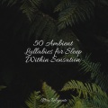50 Ambient Lullabies for Sleep Within Sensation