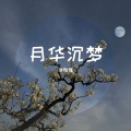 侯贻强 - 月华沉梦