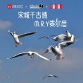 M.R.Y麦尔彦 - 宋城千古情 (DJ版)