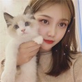 小猫吃鱼 - 不舍得舍得