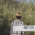 林子柯 - 闹够了没有